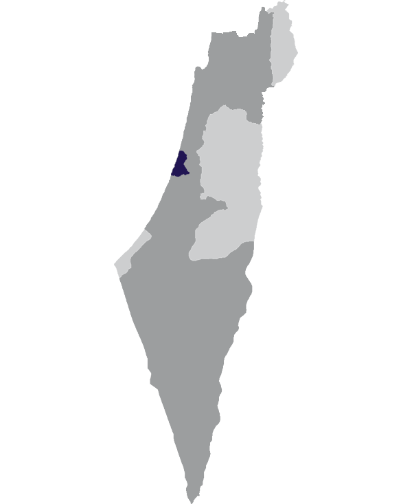 Landkaart Israël grijs met district Tel Aviv donkerblauw op transparante achtergrond - 600 * 733 pixels